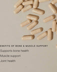 Bone & Muscle Support