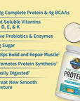 Proteinpulver