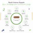 Reishi Intenso svampe-ekstrakt