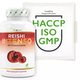 Reishi Intenso svampe-ekstrakt