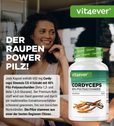 Cordyceps Intenso svampe-ekstrakt