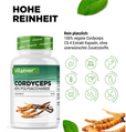 Cordyceps Intenso svampe-ekstrakt