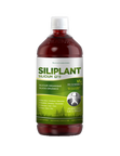 Silica (Silicium G7 Siliplant)