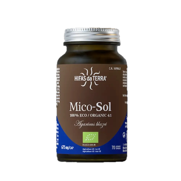 Sun Mushroom-ekstrakt