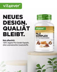 Svampekompleks