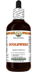 Bugleweed-ekstrakt