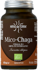 Chaga-svampeekstrakt