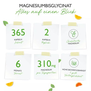 Magnesium Bisglycinat - 155 mg elementær magnesium - 365 veg-kapsler fra Vit4Ever