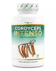 Cordyceps Intenso svampe-ekstrakt