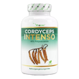 Cordyceps Intenso svampe-ekstrakt