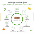 Cordyceps Intenso svampe-ekstrakt