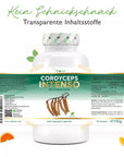 Cordyceps Intenso svampe-ekstrakt