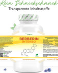 Berberinekstrakt HCl Intenso