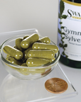 Gymnema Sylvestre