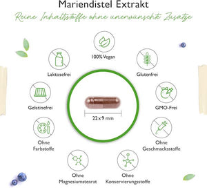 Marietidsel-ekstrakt - 500 mg & 400 mg silymarin - 180 kapsler fra Vit4ever