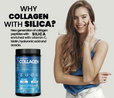 Kollagenpeptider med Living Silica