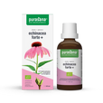 Echinacea-ekstrakt