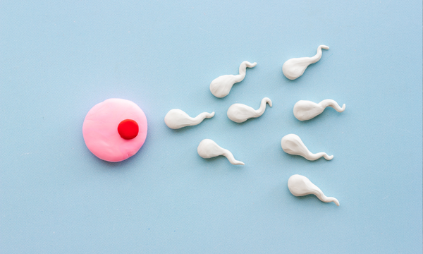 Forstå fertilitet og hvordan du kan øge dine graviditetssandsynlighed