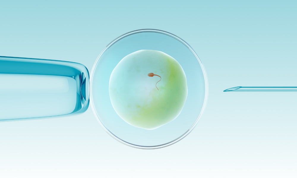 Kan CoQ10 forbedre ægkvaliteten og fertiliteten?