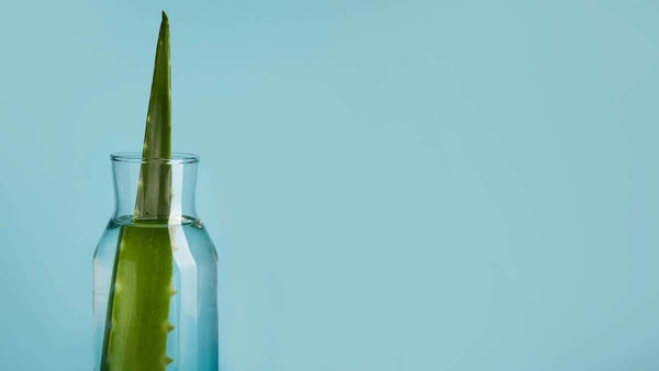 Aloe Vera med DGL – Naturlig lindring ved refluks