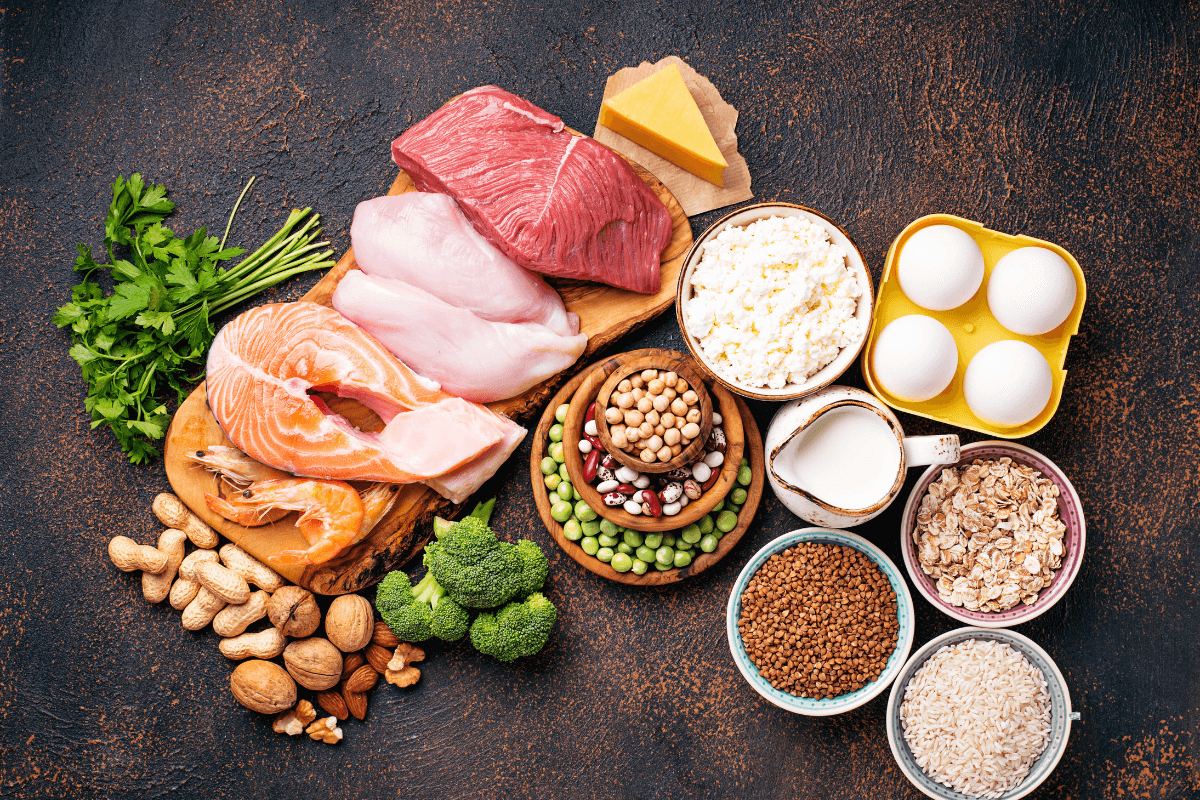 Protein og korte træningspauser styrker musklerne – også hvis du sidder meget ned