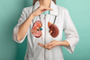 Nyresygdom kan lindres med antioxidant-rig kost