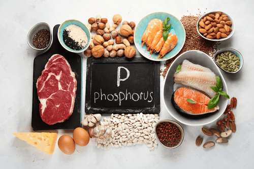Phosphor og stofskiftet – Er der en sammenhæng?
