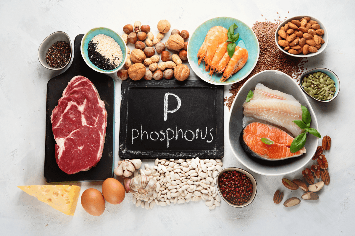 Phosphor og stofskiftet – Er der en sammenhæng?