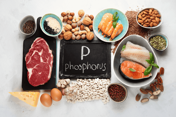 Phosphor og stofskiftet – Er der en sammenhæng?