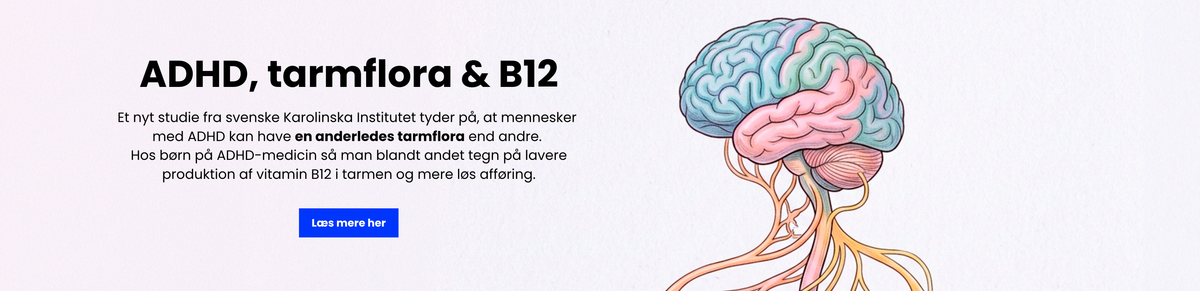 ADHD, tarmflora & B12
