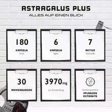 Indlæs billede til gallerivisning Astragalus Plus-ekstrakt - 450 mg (50% polysakkarider) - 180 kapsler fra German Elite Nutrition
