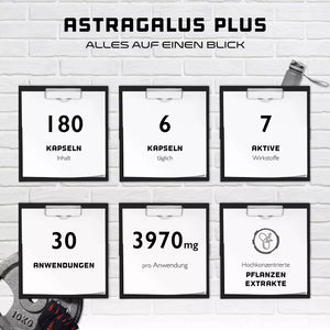 Astragalus Plus-ekstrakt - 450 mg (50% polysakkarider) - 180 kapsler fra German Elite Nutrition