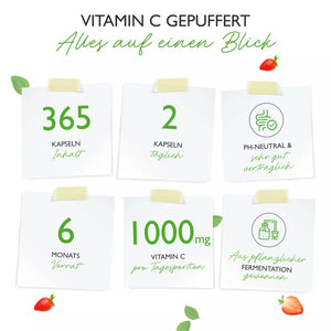 C-vitamin til følsomme maver, syreneutral & depot - 500 mg - 365 kapsler fra Vit4ever