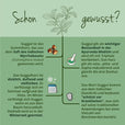 Guggulekstrakt
