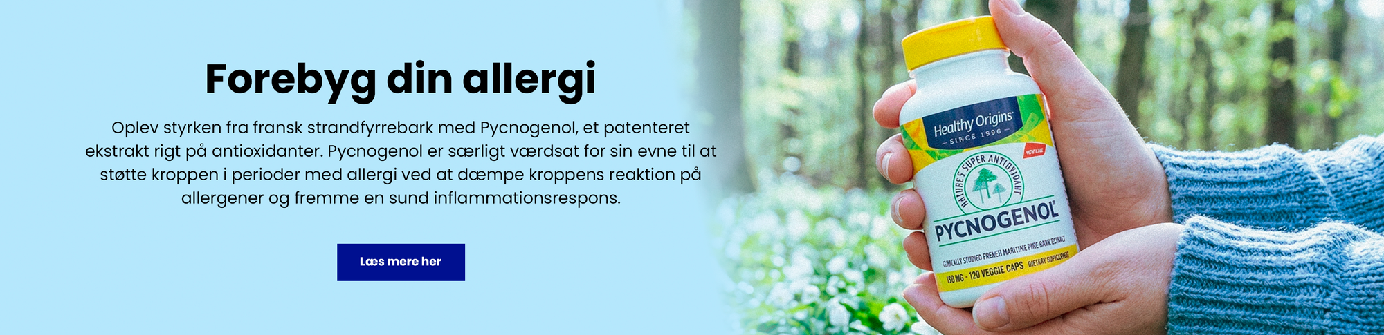 Forebyg din allergi med Pycnogenol