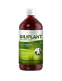 Silica (Silicium G7 Siliplant)