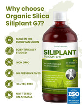 Indlæs billede til gallerivisning Silica - Silicium G7 Siliplant, 1L (målrettet aluminium detox, ledsmerter og knogleskørhed) fra Silicium Labs
