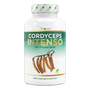 Cordyceps Intenso svampe-ekstrakt