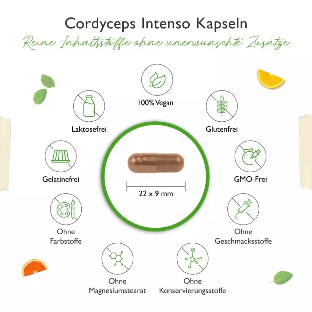 Cordyceps Intenso svampe-ekstrakt