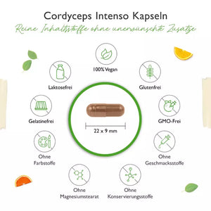 Cordyceps Intenso svampe-ekstrakt