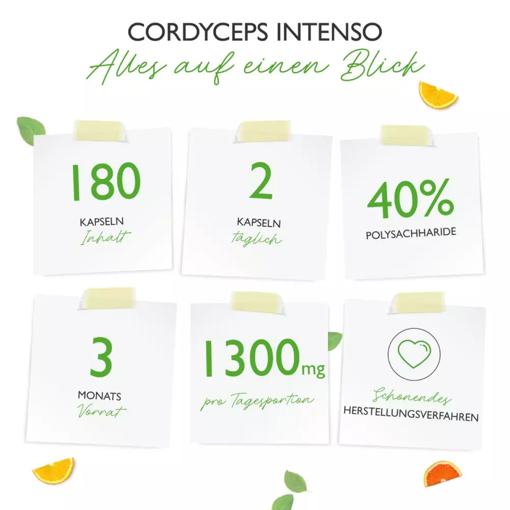 Cordyceps Intenso svampe-ekstrakt