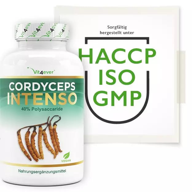 Cordyceps Intenso svampe-ekstrakt