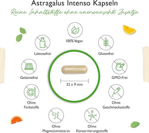 Astragalusekstrakt - 700 mg - 180 kapsler fra Vit4ever