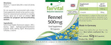 Indlæs billede til gallerivisning Fennikel frø (Fennel) 500 mg - 90 kapsler
