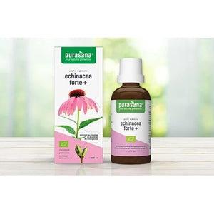 Echinacea Forte -  ekstrakt og økologisk - 100 ml dråber